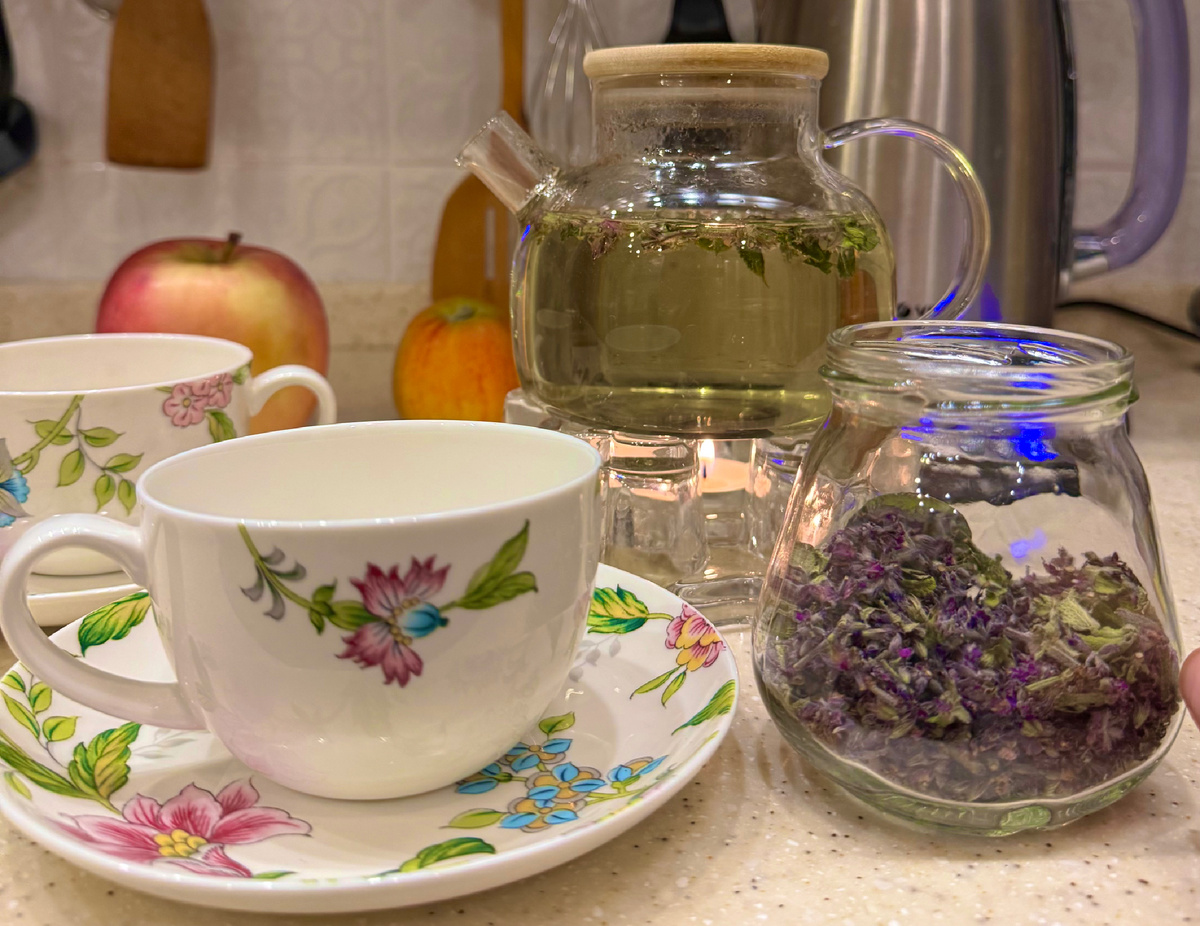 фото Сад в стиле Paradise @