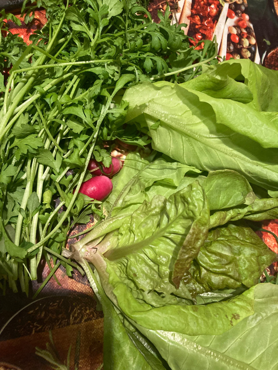 Мой салатный набор