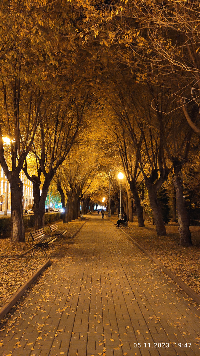 Вот так выглядела 1,5 года назад боковая аллея Аллеи Героев