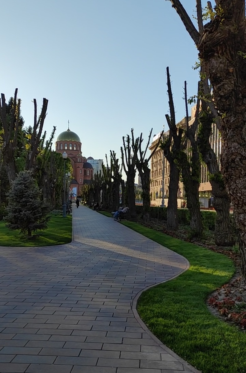 Вот так она выглядит сейчас: после благоустройства и обрезки деревьев. Вид той же самой аллеи, только в обратную сторону. Как вам? 