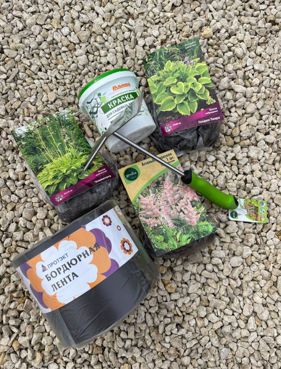 Фото автора.