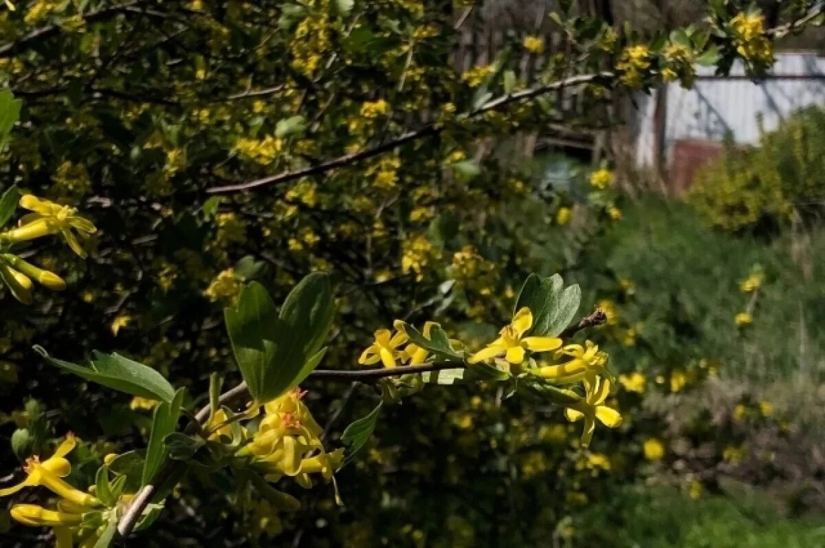    В Ростовской области 2 мая воздух прогреется до +23 градусов