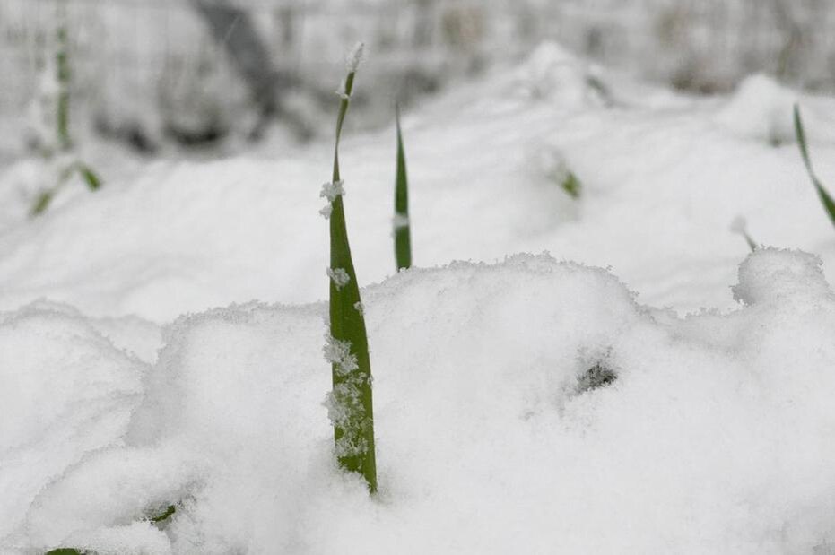    Стрингер/NEWS.ru