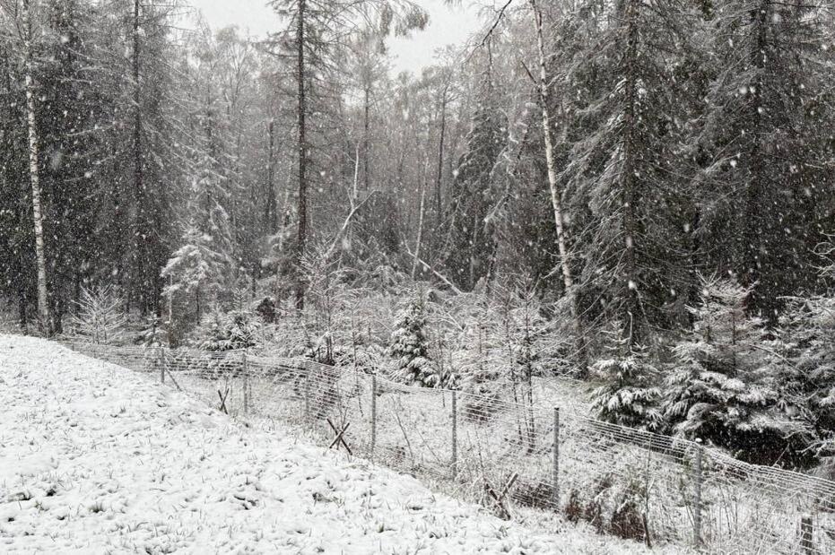    Фото: Стрингер/NEWS.ru