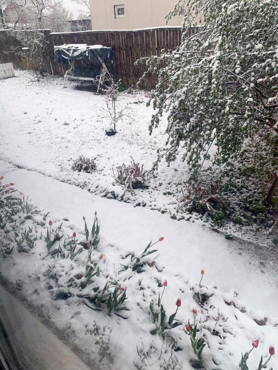    Фото: Стрингер/NEWS.ru