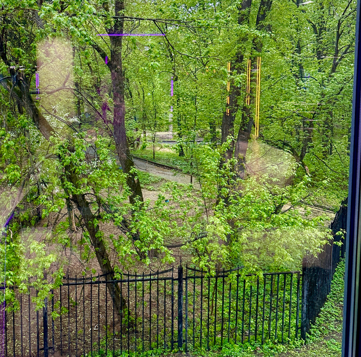 Вид из окна тренажерного зала