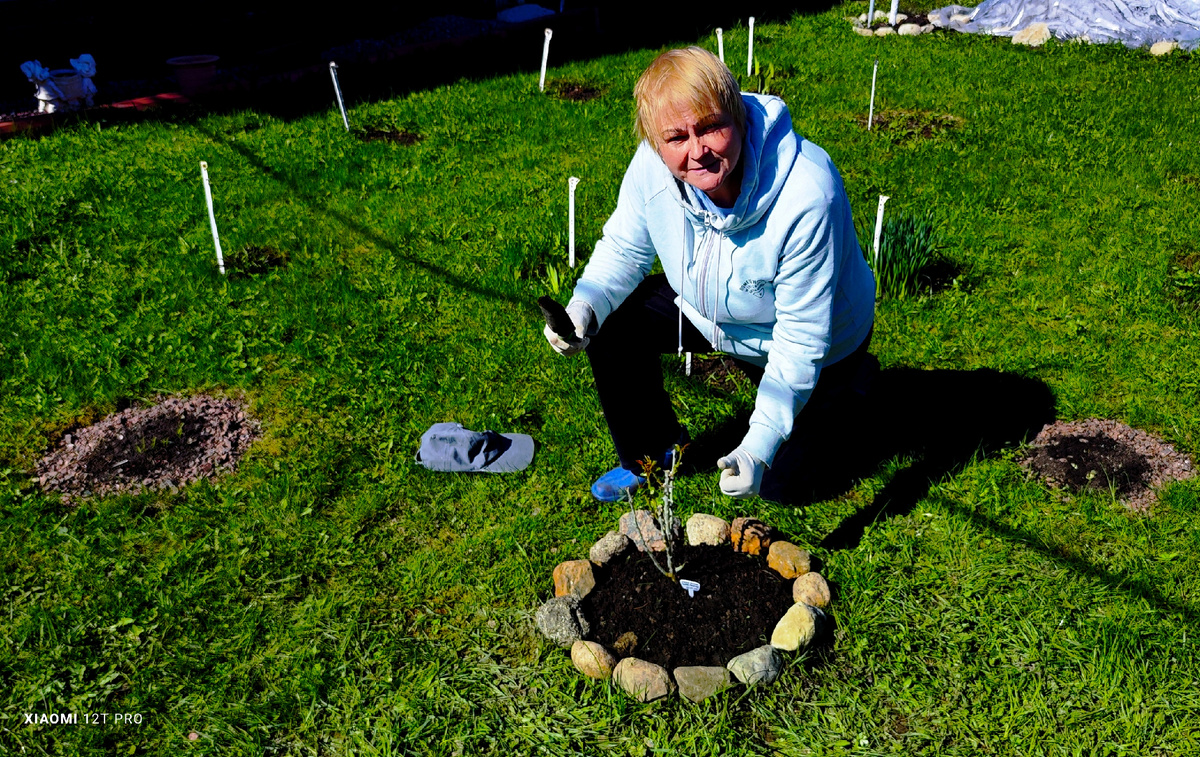 я у новой клумбы