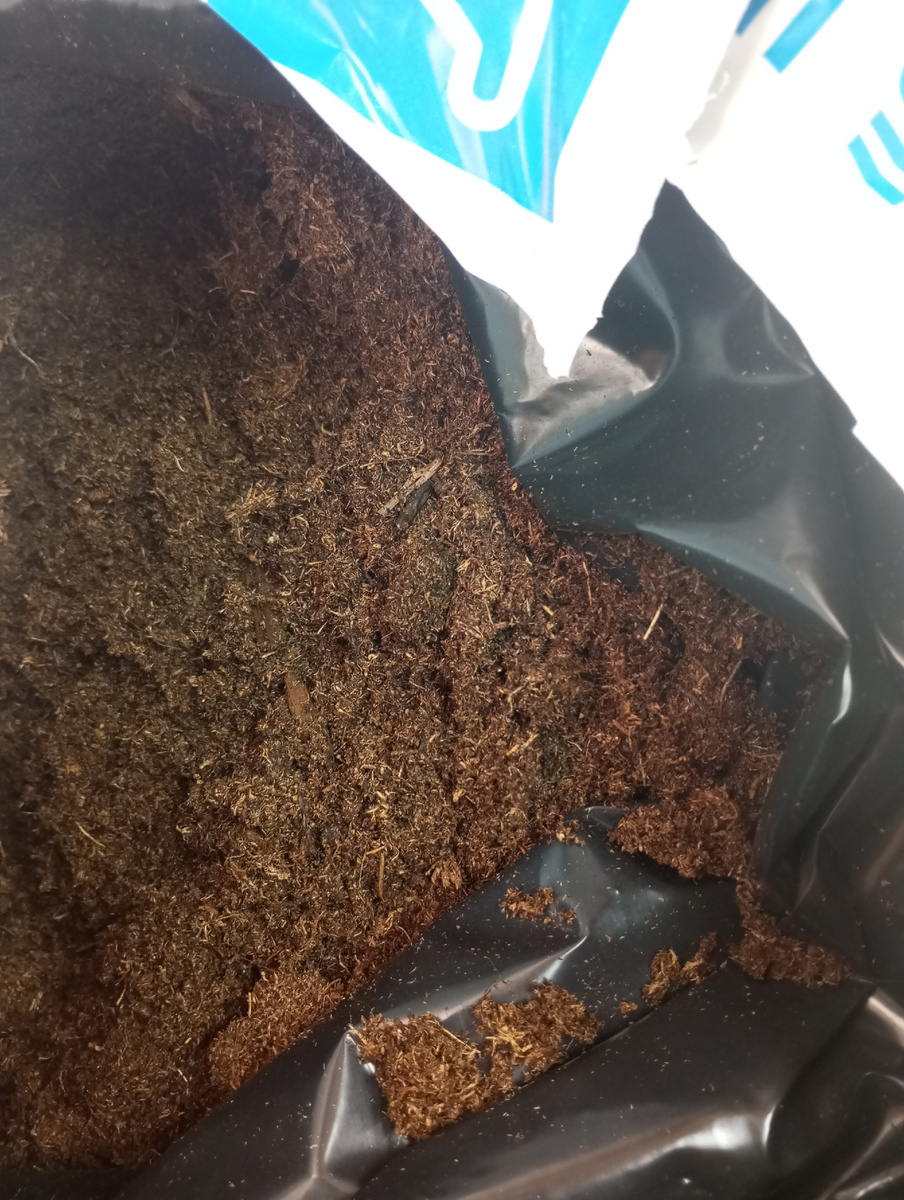 фото автора: грунт Агробалт на основе верхового торфа