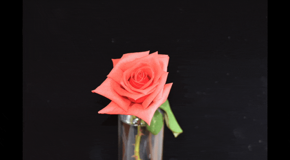   Michael Moshe et al. / Science, 2025