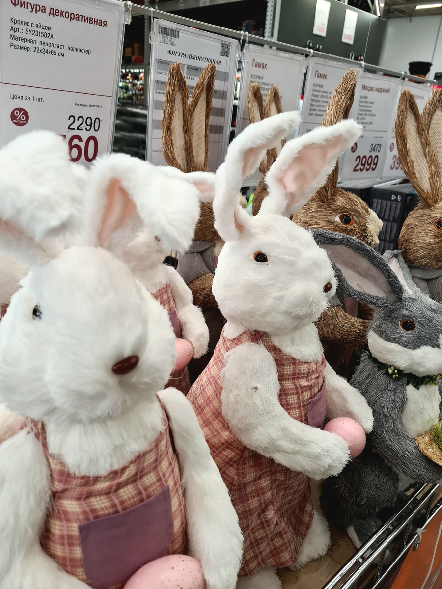 Фото из личного архива автора. 