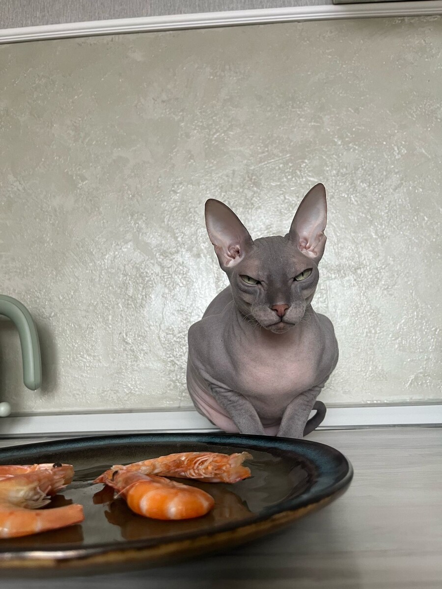 И долго будем смотреть друг на друга? Чисти скорей! 