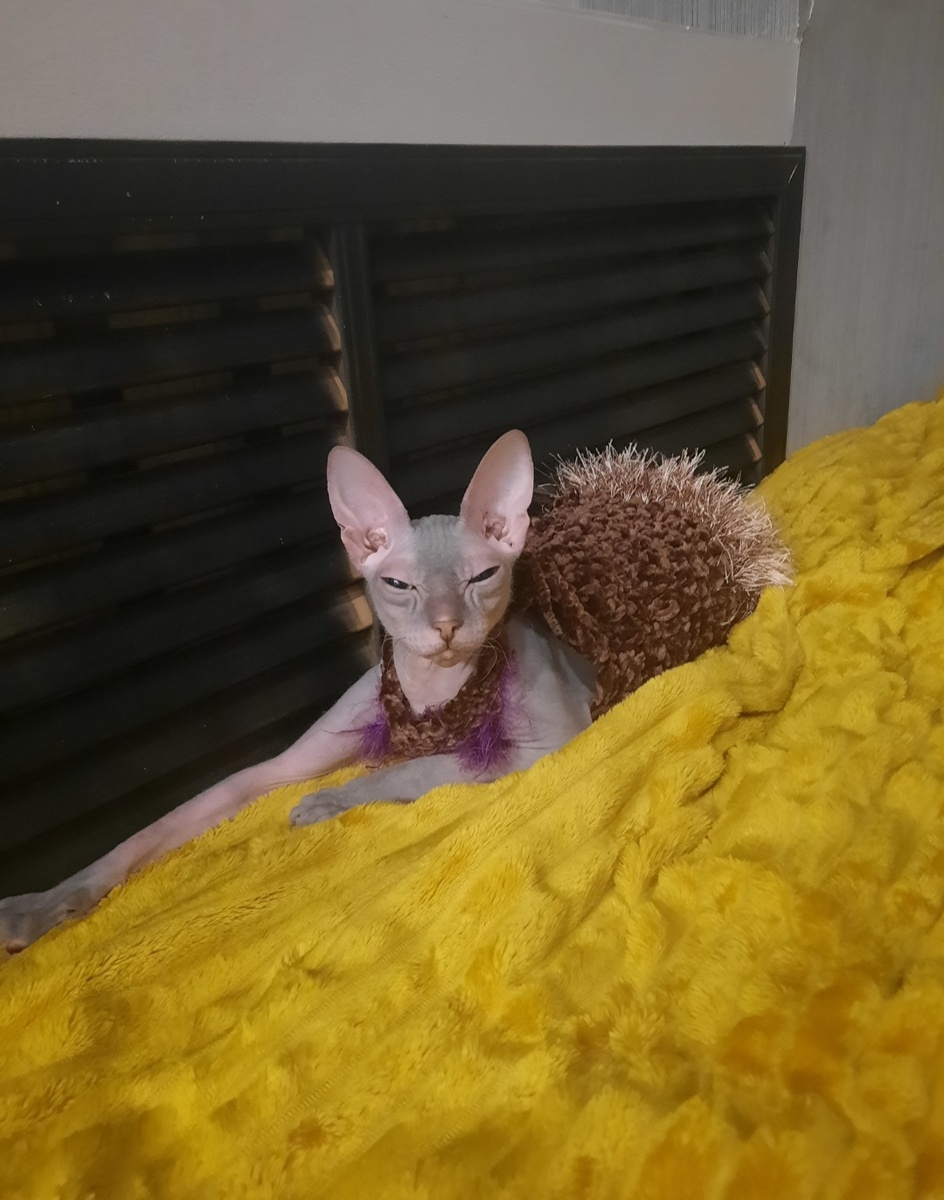 Сарафан это, сказали, да мне хоть платье от Кутюр , не хочу! 