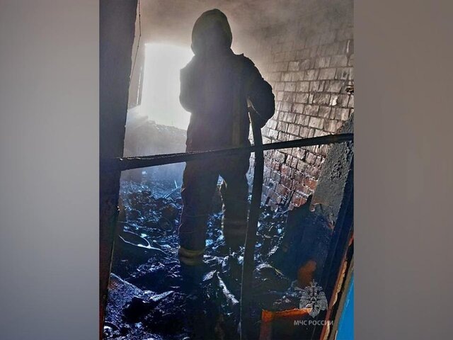    Фото: телеграм-канал "МЧС Новгородской области"