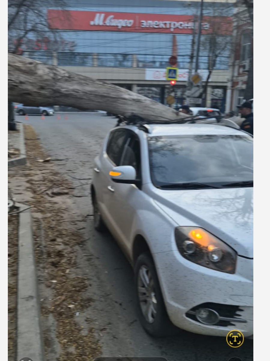 Если на машину упало дерево - алгоритм действий