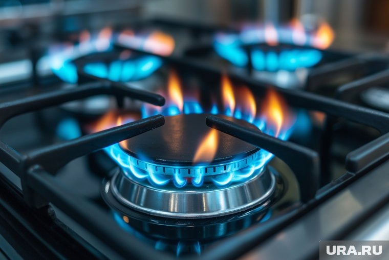 К 2026 году в России ожидается увеличение стоимости газа
Фото: Создано в Midjourney © URA.RU