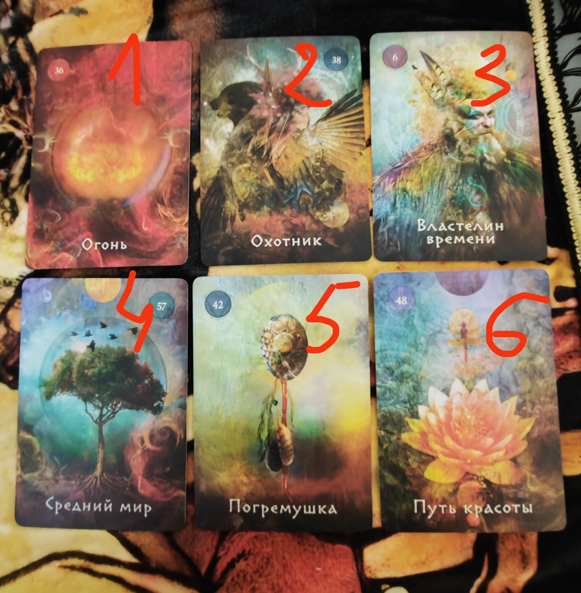 Фото автора 