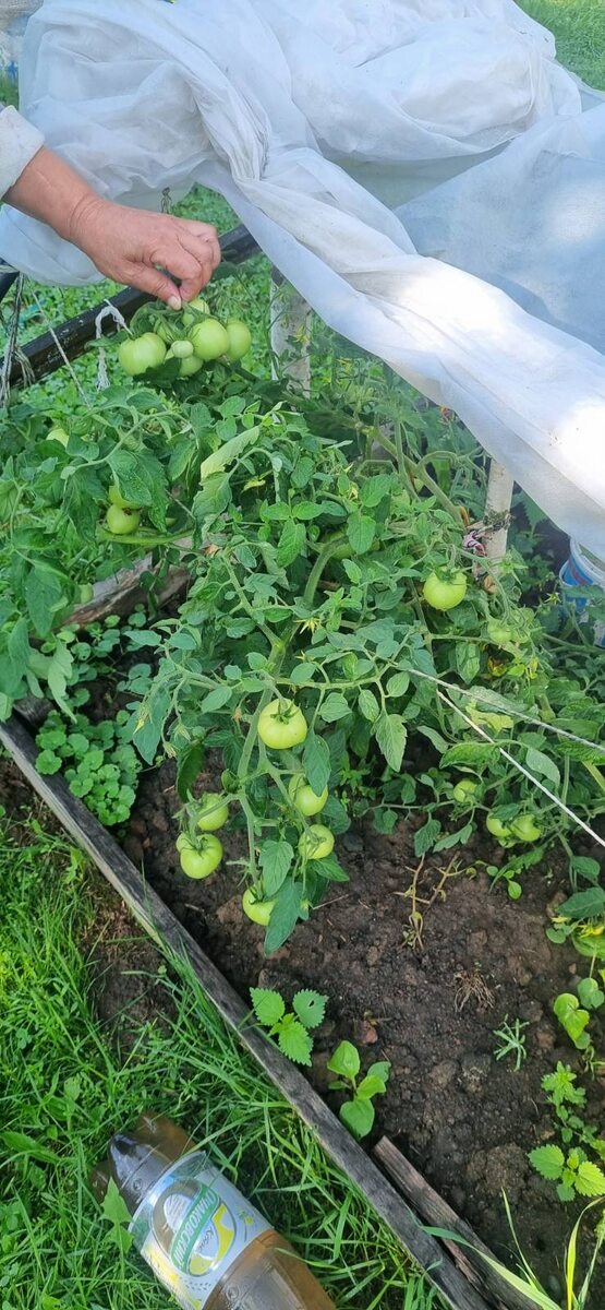 Фото из архива автора 