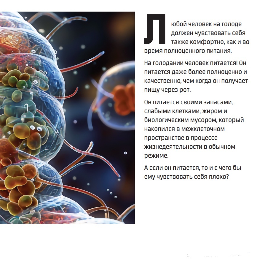 Желчный пузырь и голодание как это влияет на камни