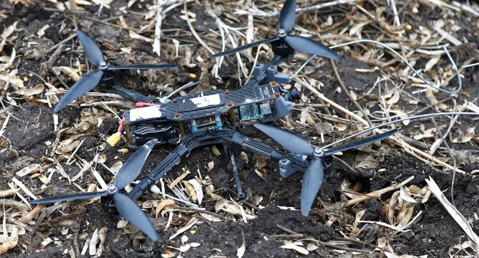    Shatokhina Natalya/news.ru / www.globallookpress.com