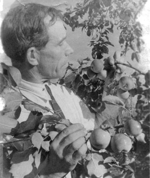    Леонид Дмитриевич Неронов Фото: Общественное достояние