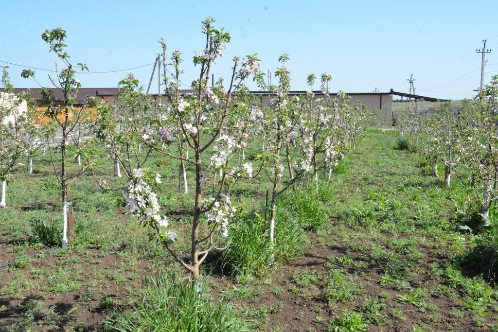   Фото: Е. Антонова. Елена Антонова