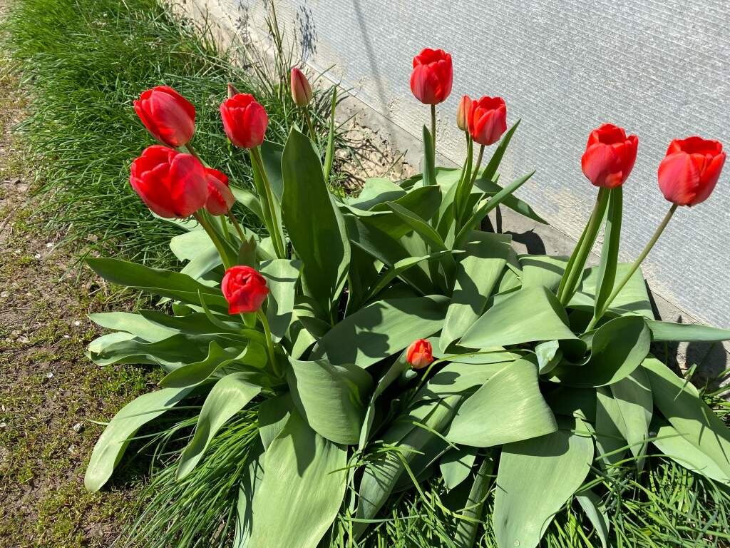   Фото: И. Куницкая. Галина Ященко