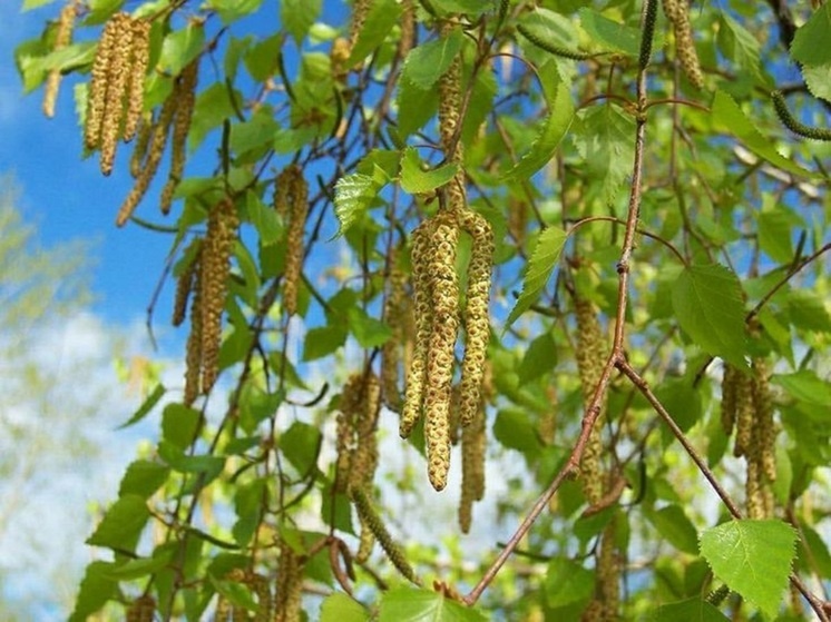     Фото: pinterest.com