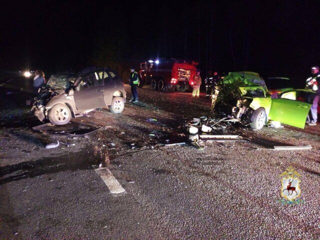    Фото: телеграм-канал "Полиция Нижегородской области"