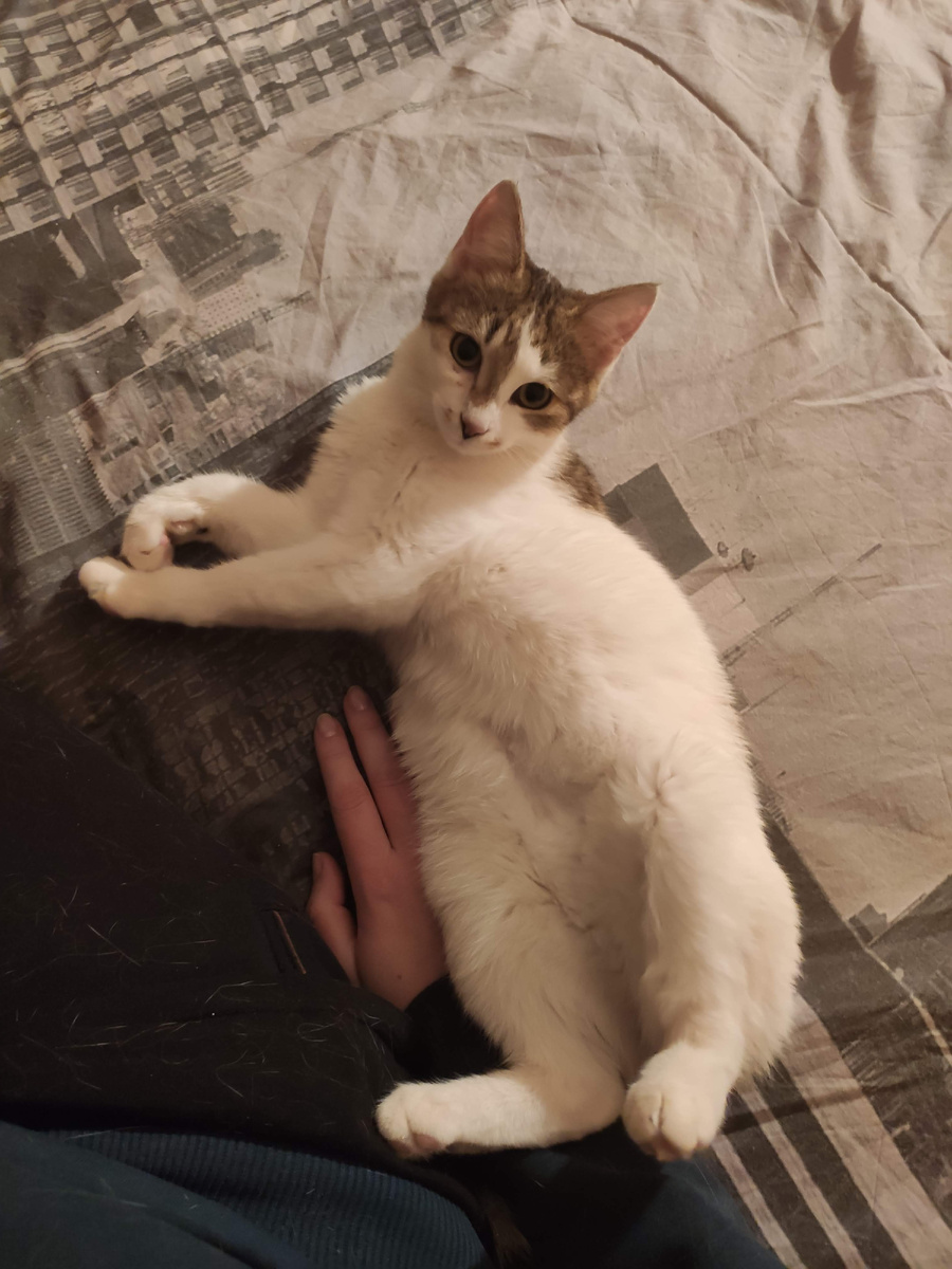 Тут бы уже начать о чём-то догадываться, но нет)