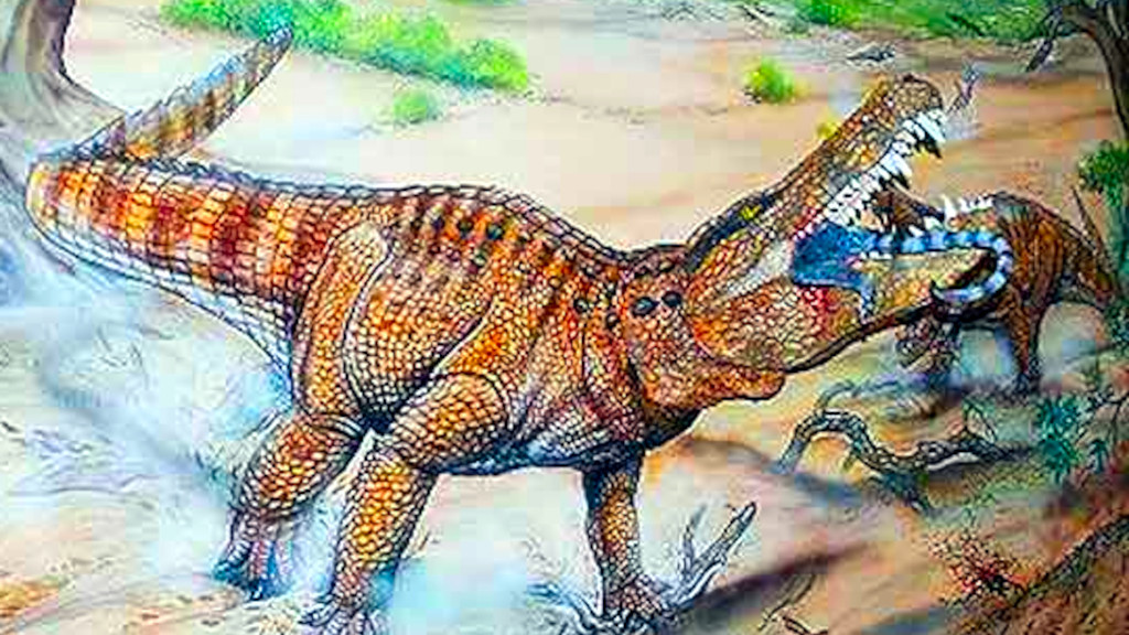 На островах крокодилы, как ни странно, тоже нашлись.