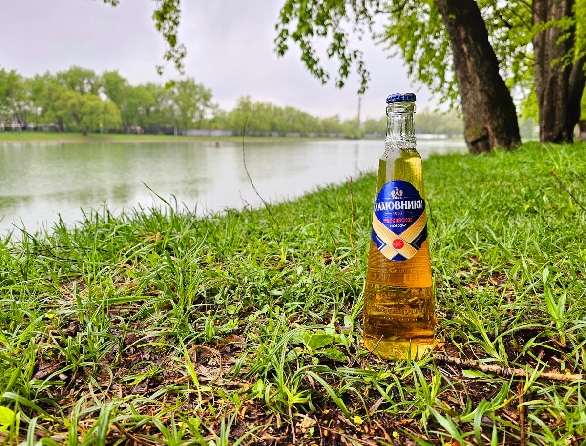 Хамовники Московское, фото автора