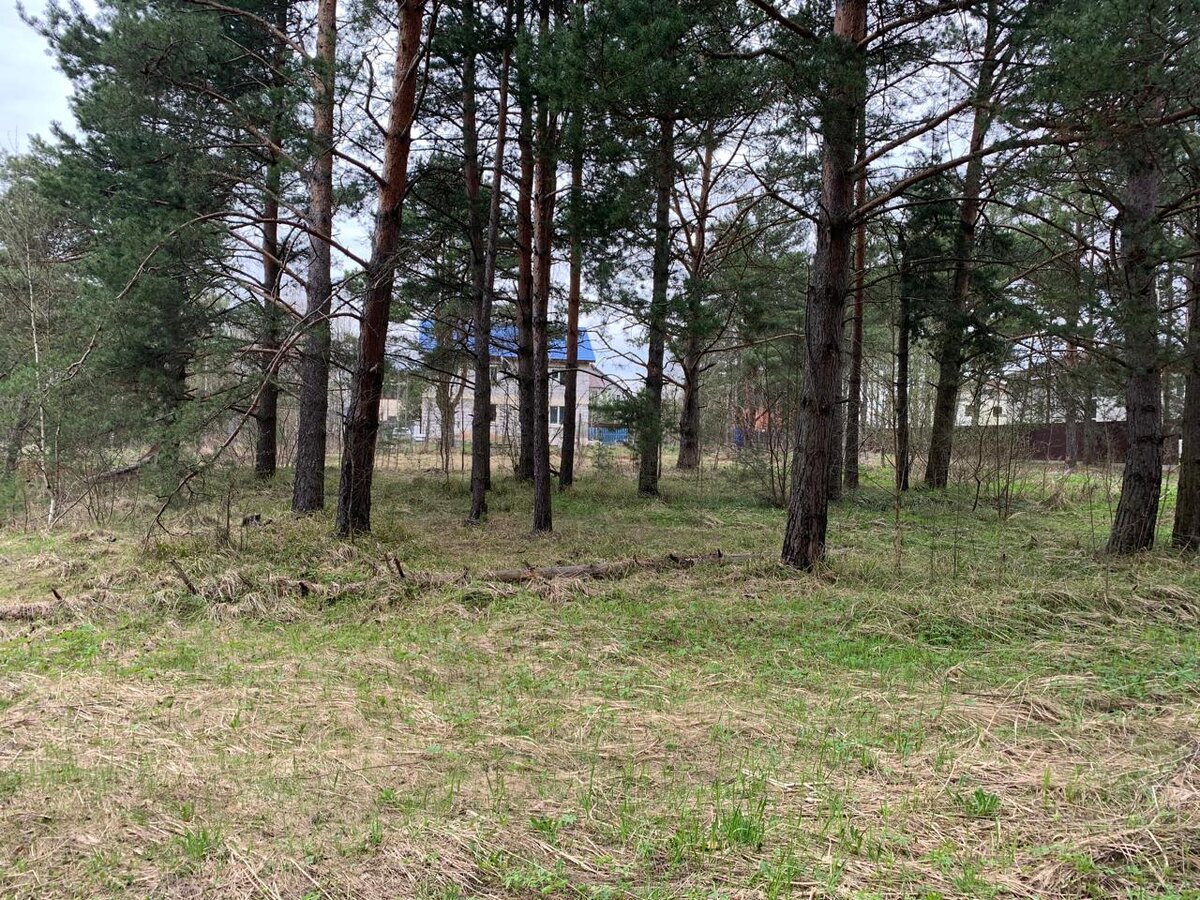 Чудесное место для дома мечты, не находите?)