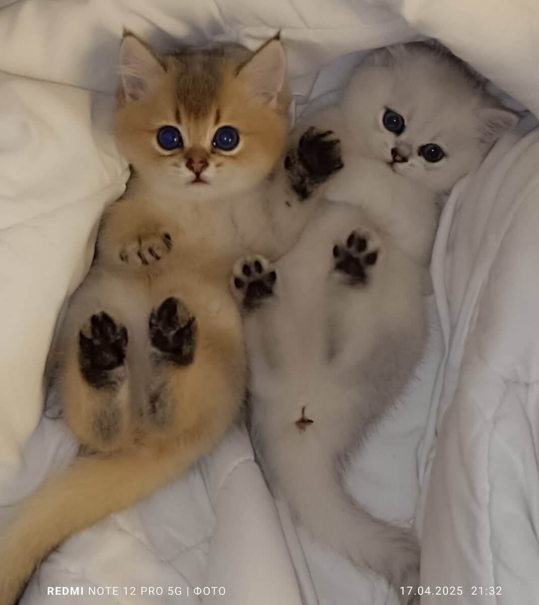 Фото автора 