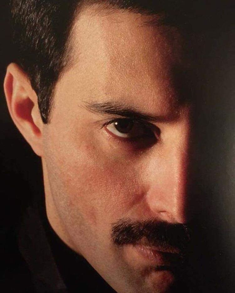 Фредди Меркьюри. Источник фото - Яндекс Картинки