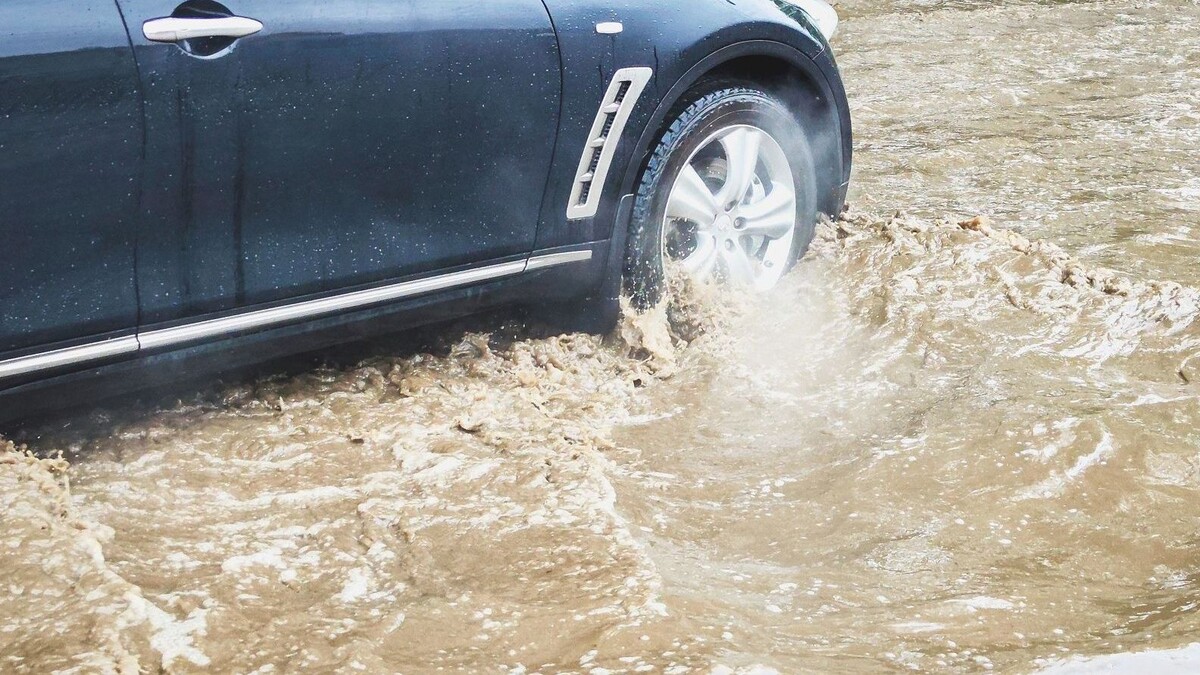     Источник: 1MI