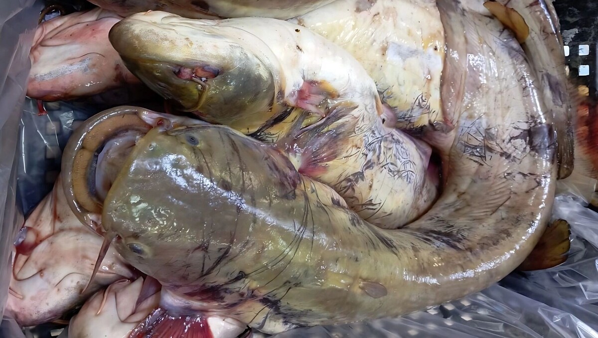     Источник: transsibinfo.com