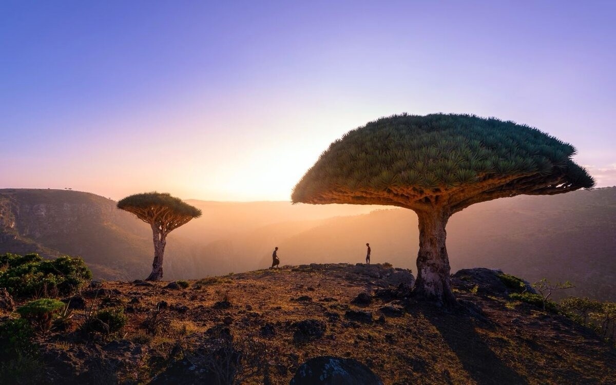 Остров Сокотра (Йемен)