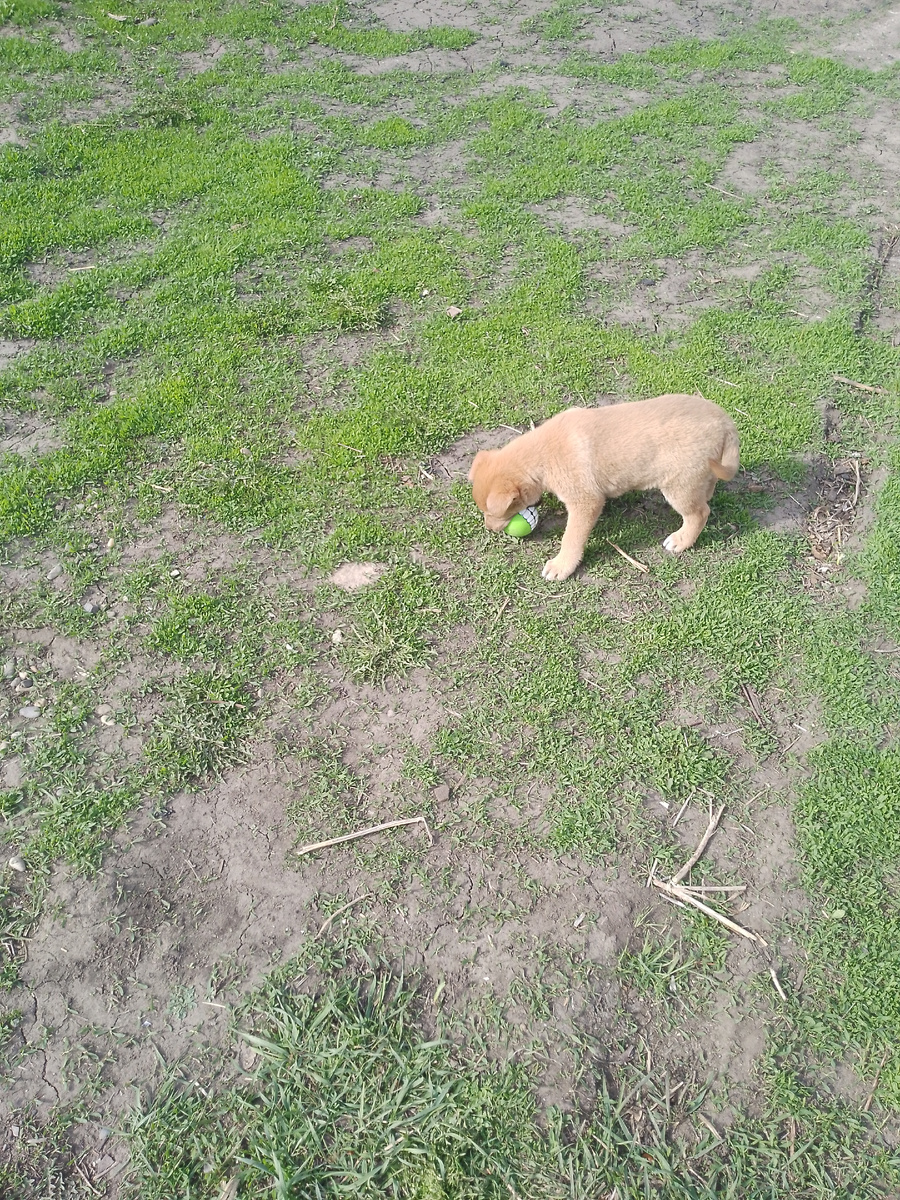 Фото автора. 