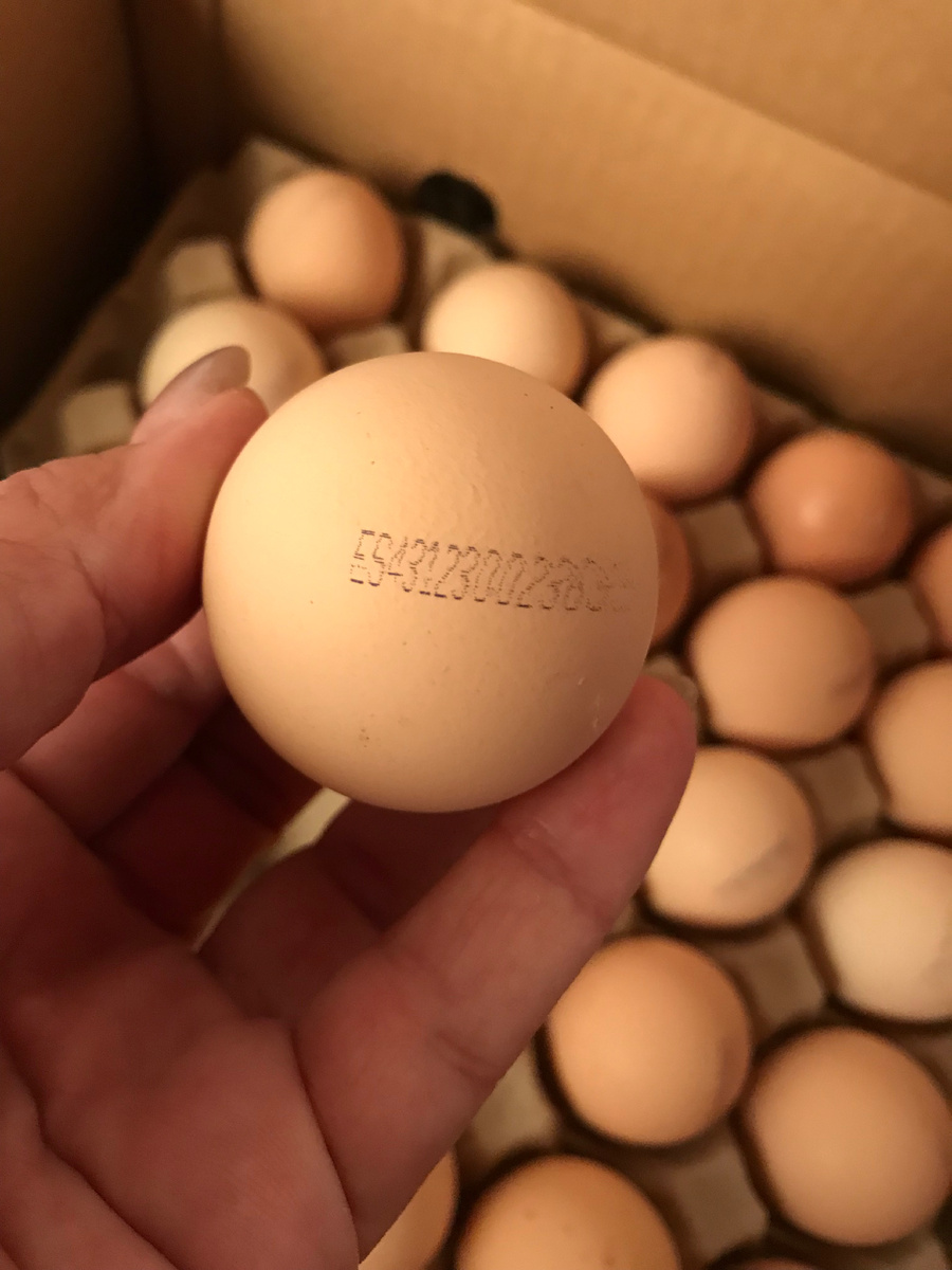 Это бройлер так выглядит,Испания РОСС 308 а вверху индейка 