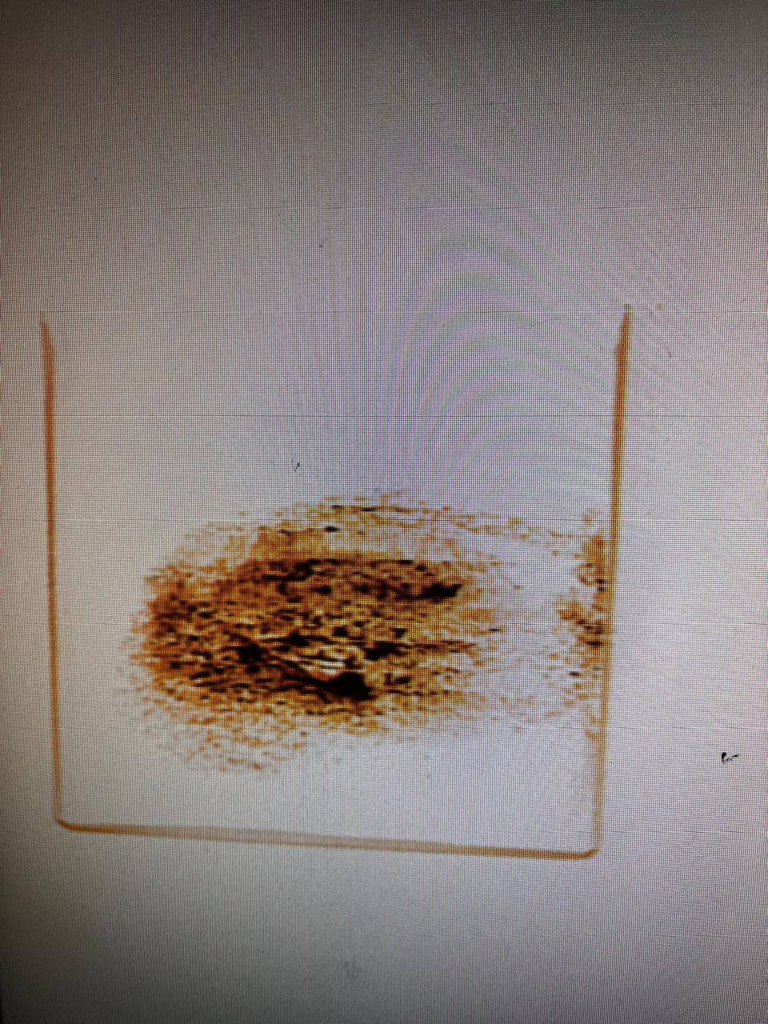    Фото: пресс-служба Генеральной прокуратуры Российской Федерации