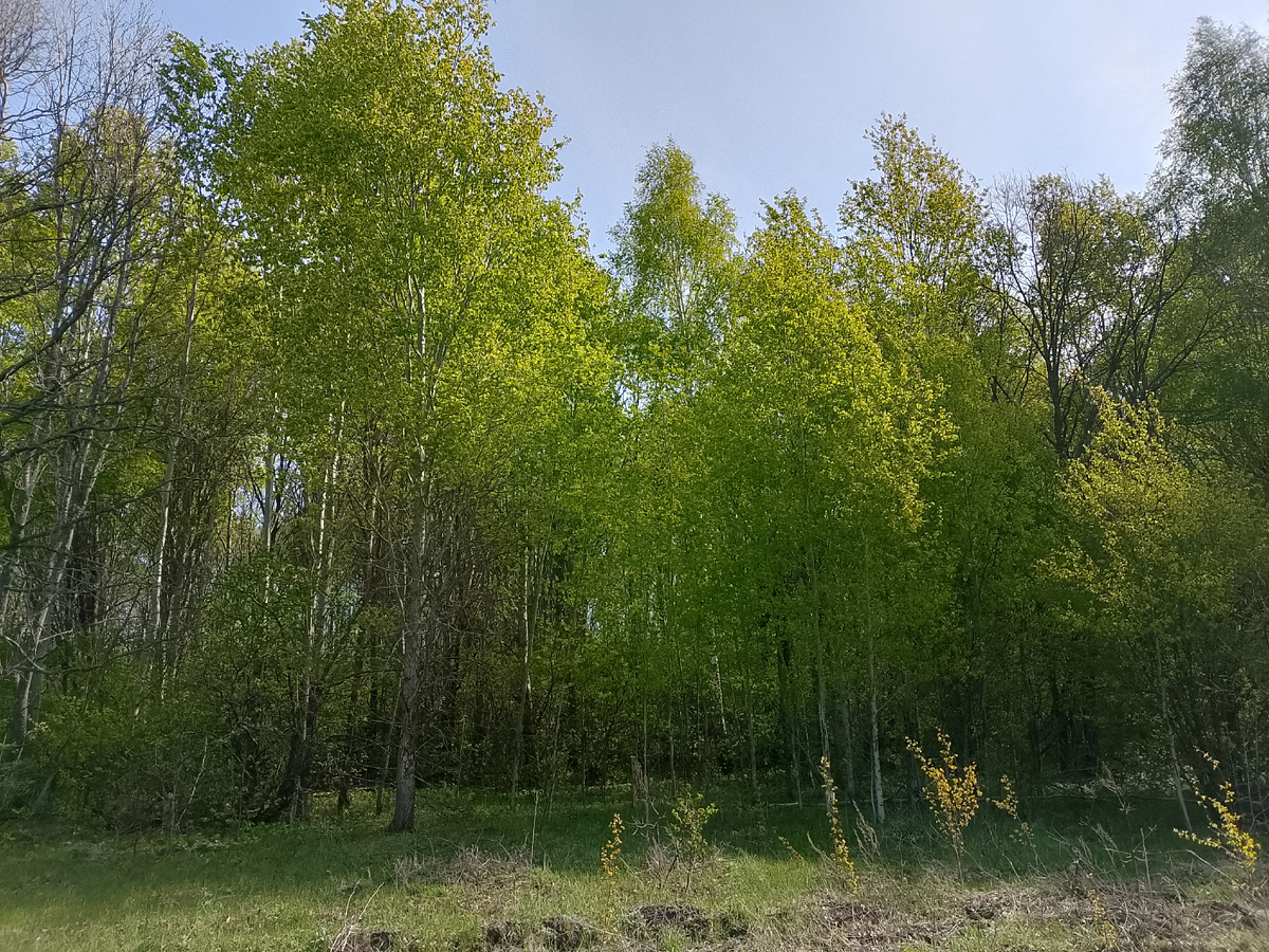 На краешке😊