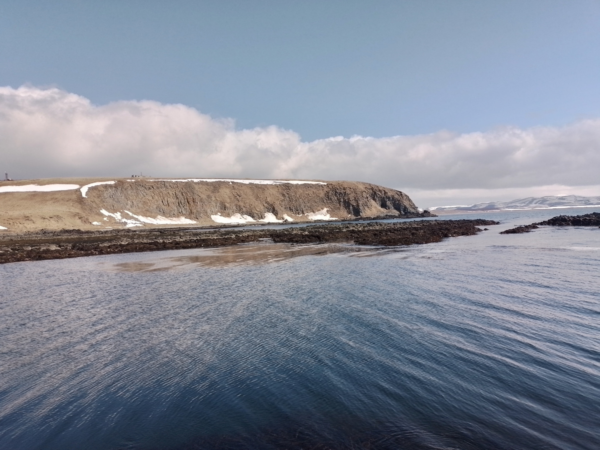 После отлива я отправляюсь на морской огород. Фото автора.