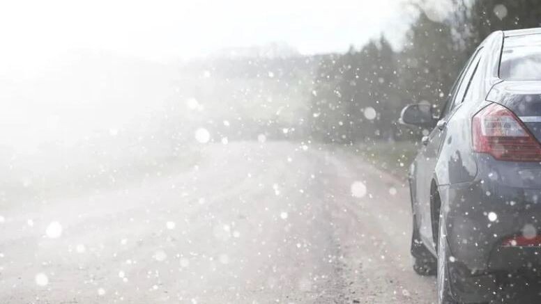    Фото: alexkich/Shutterstock/Fotodom