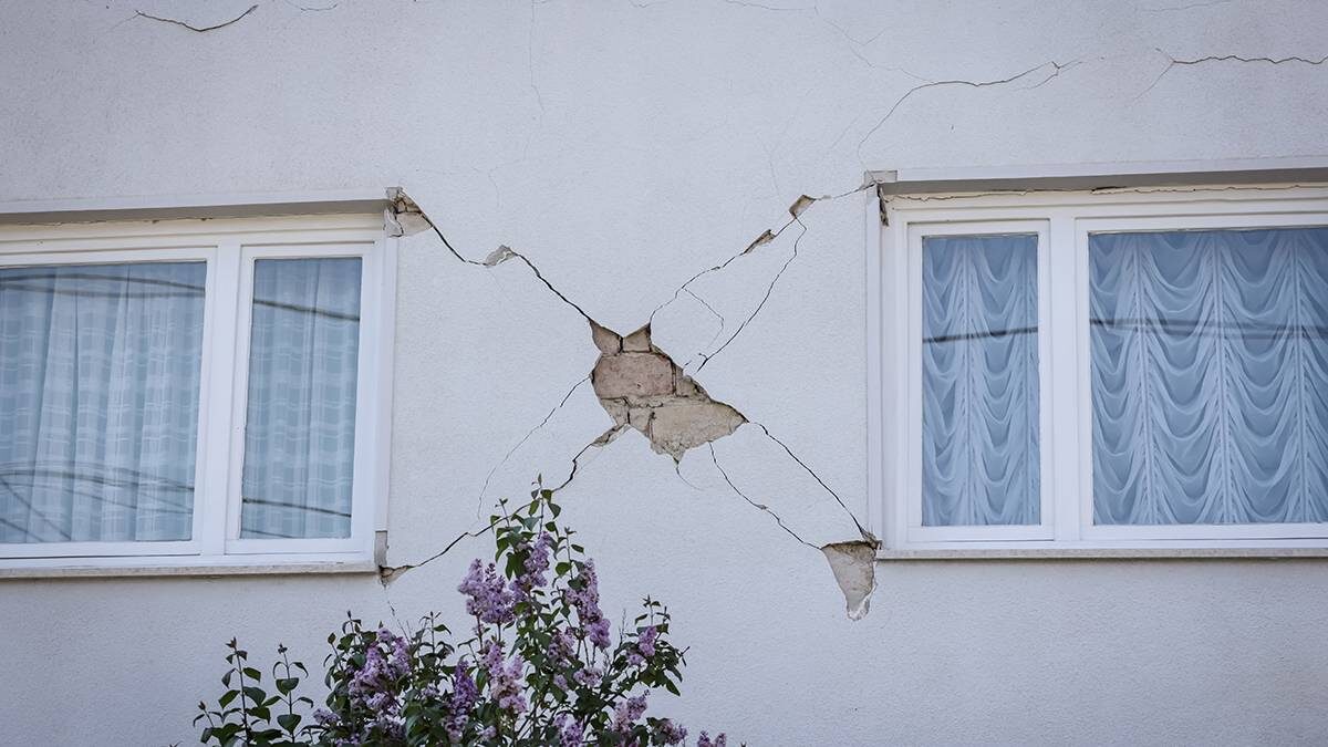    Фото: shutterstock