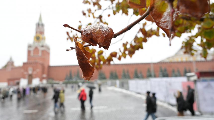    Фото: © РИА Новости/Евгений Биятов