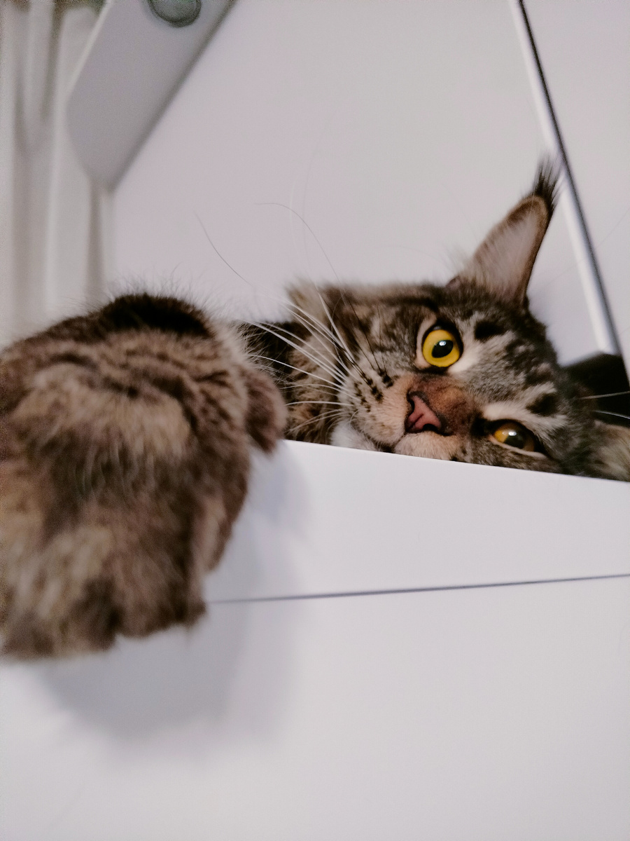 Не ленюсь, а отмечаю😸