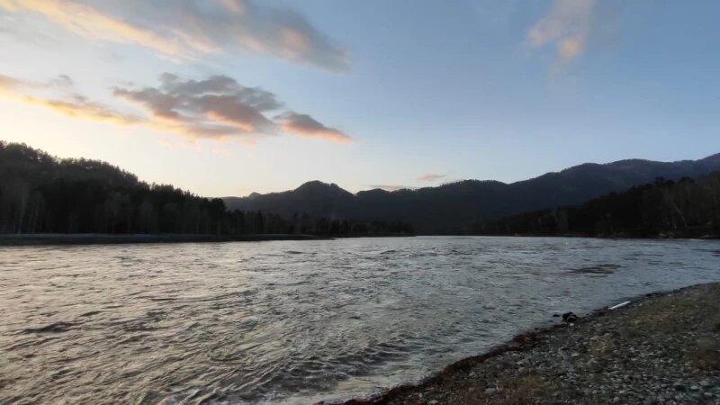     Катунь. Инна Целовальникова, @altaifloratour