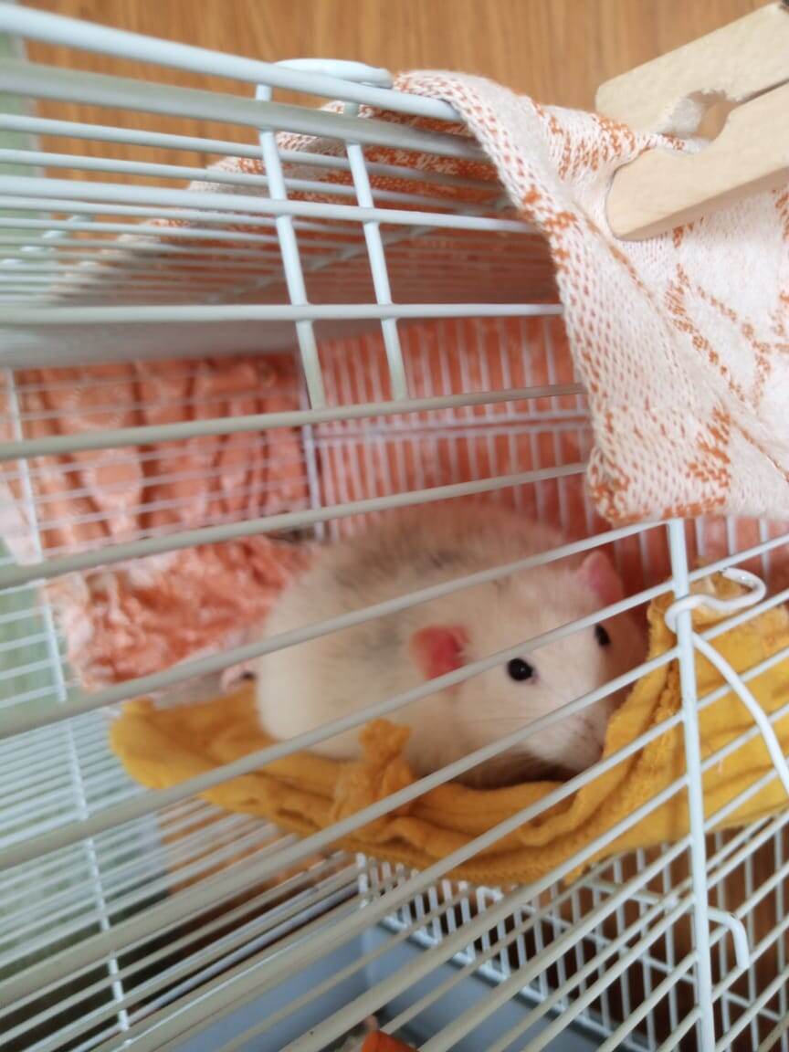 Третий этаж. Веранда с мягкой подстилкой.(фото моё)