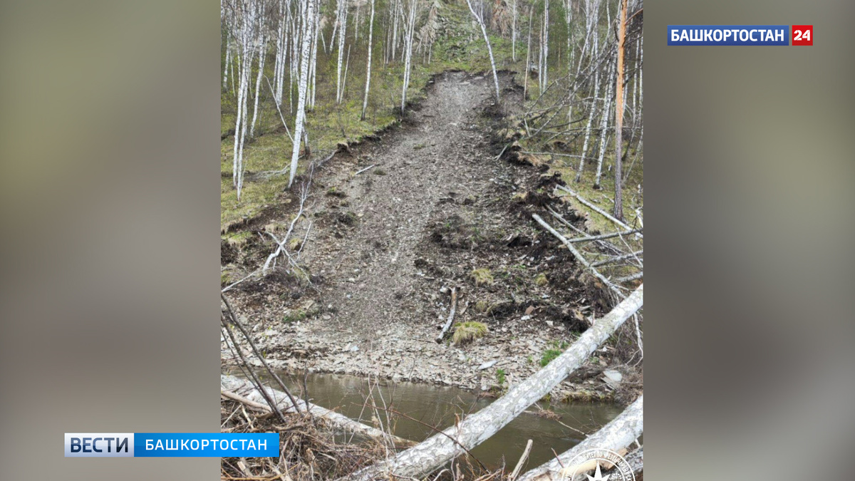   В Башкортостане сошел оползень: на реке Большой Инзер образовался завал деревьев