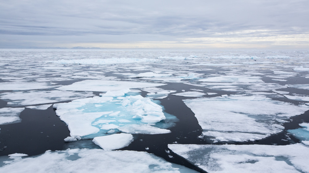    Северный полюс сместится на 27 метров к 2100 году
